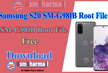 Samsung S20 SM-G981B Root File