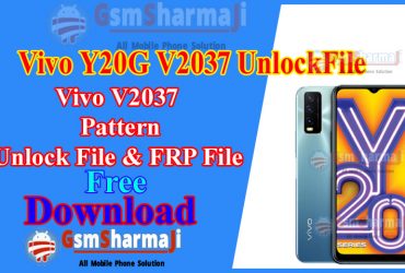 Vivo Y20G V2037 Pattern & FRP File