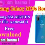 Samsung Galaxy M30s SM-M307FN Root File Android 11 Free Download